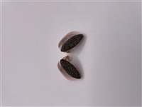 Orecchini Pesavento Donna Polvere Di Sogni in Argento WPLVO2791